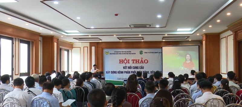 Kết nối cung cầu - xây dựng kênh phân phối diện rộng, bền vững