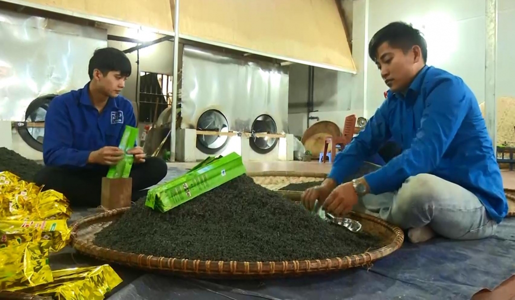 Nhiều bạn trẻ lựa chọn mô hình hợp tác xã kiểu mới để khởi nghiệp