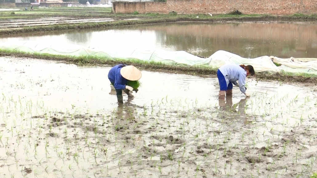 Duy trì sản xuất trong nắng nóng - đã psts 4.7