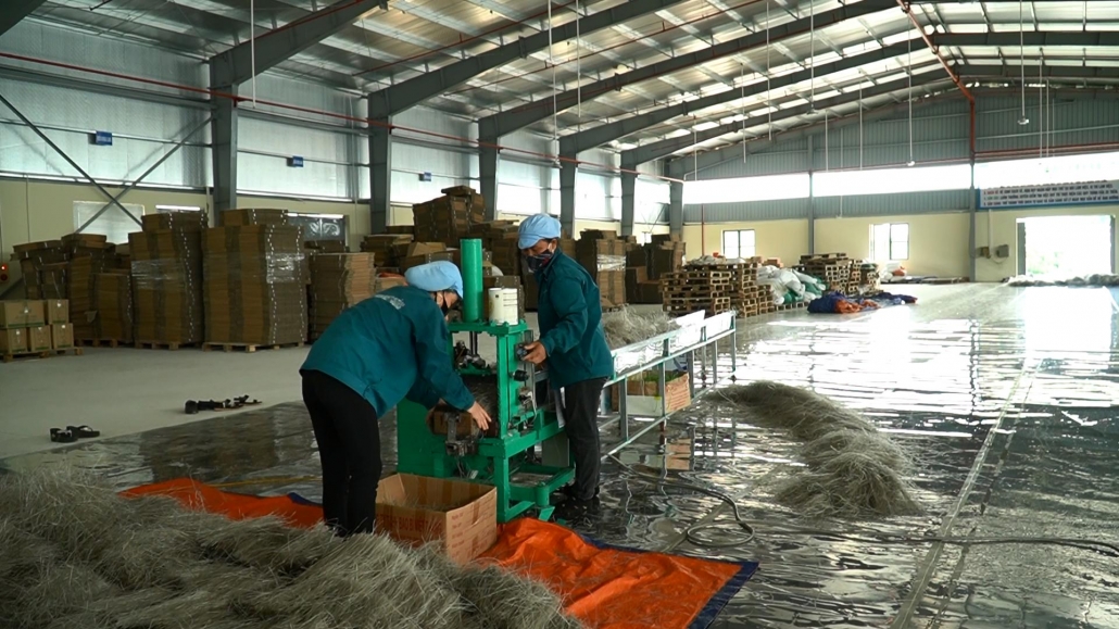 Thái Nguyên: 2 sản phẩm được công nhận sản phẩm OCOP cấp Quốc gia (5 sao) - đã psts 4.7 Thái Nguyên: 2 sản phẩm được công nhận sản phẩm OCOP cấp Quốc gia (5 sao) - đã psts 4.7