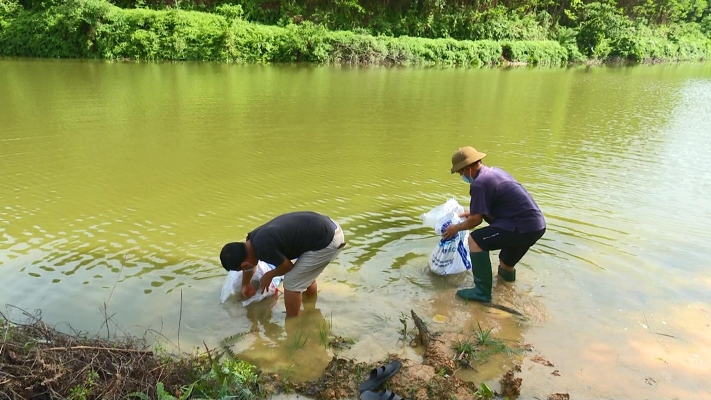 Thay đổi cách thức nuôi trồng thủy sản ở vùng núi - đã ps cam 6.7