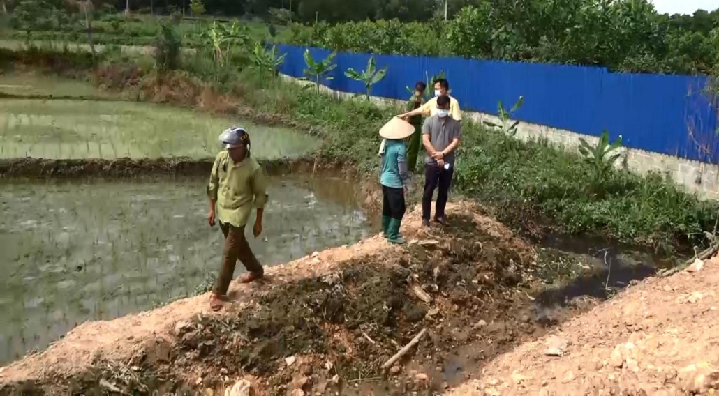 Trang trại chăn nuôi gây ô nhiễm môi trường tại xã Minh Đức - đã ps HTTH 8.7