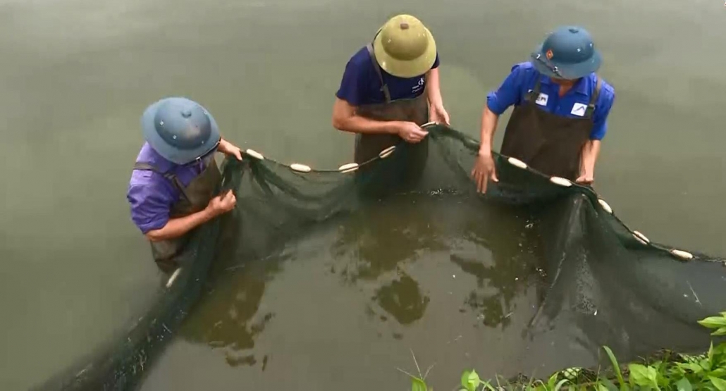 Bảo vệ nguồn thủy sản mùa mưa lũ - đã psts 13.7 Bảo vệ nguồn thủy sản mùa mưa lũ - đã psts 13.7