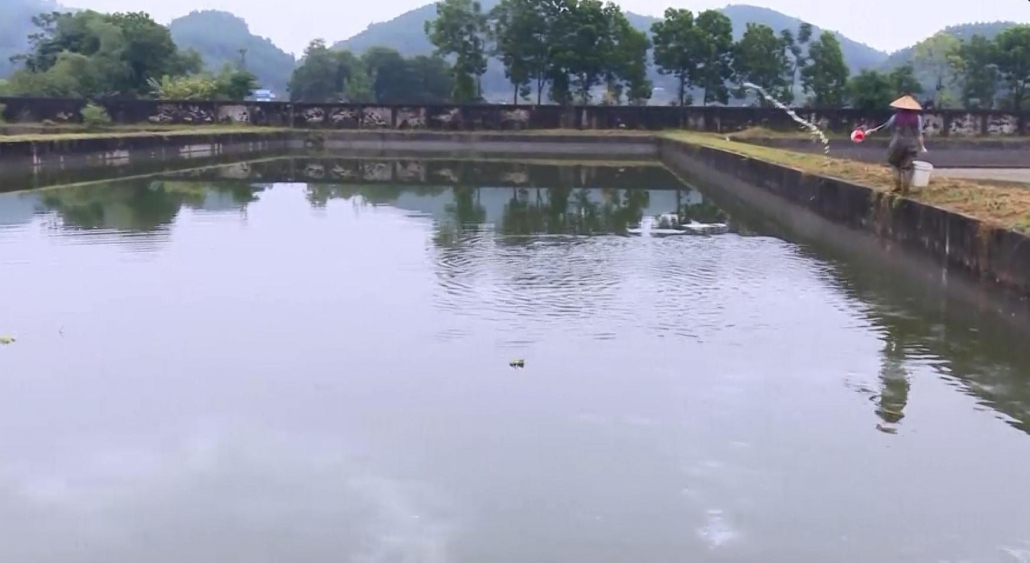 Bảo vệ nguồn thủy sản mùa mưa lũ - đã psts 13.7 Bảo vệ nguồn thủy sản mùa mưa lũ - đã psts 13.7