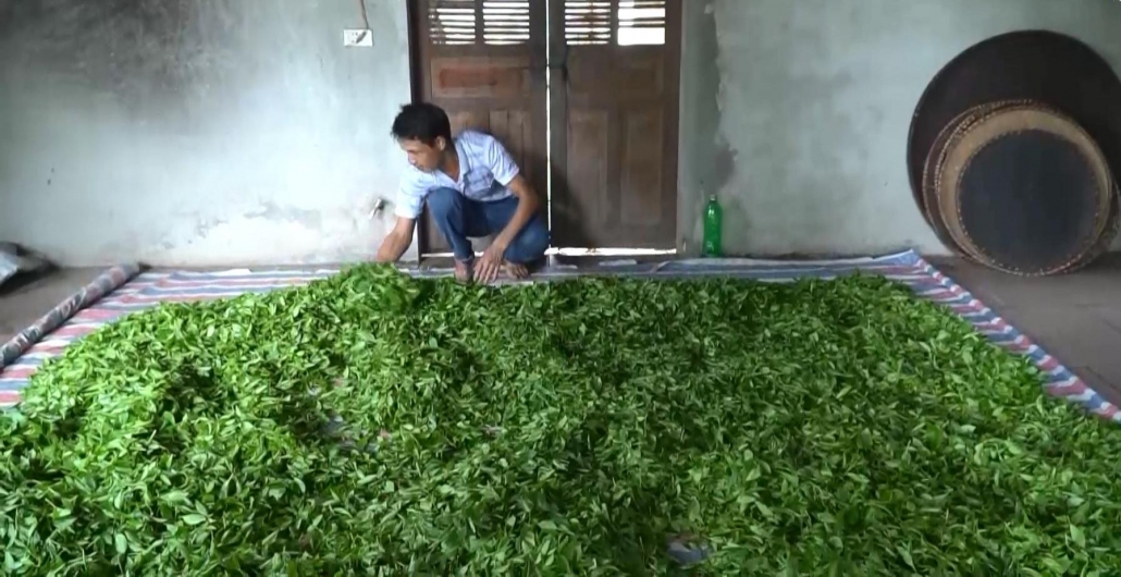 Phát triển làng nghề giúp chè truyền thống Định Hóa khẳng định chất lượng - đã ps cam 13.7 Phát triển làng nghề giúp chè truyền thống Định Hóa khẳng định chất lượng - đã ps cam 13.7