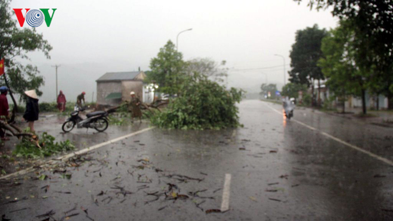 du bao thoi tiet hom nay nhieu tinh thanh co mua to dong loc