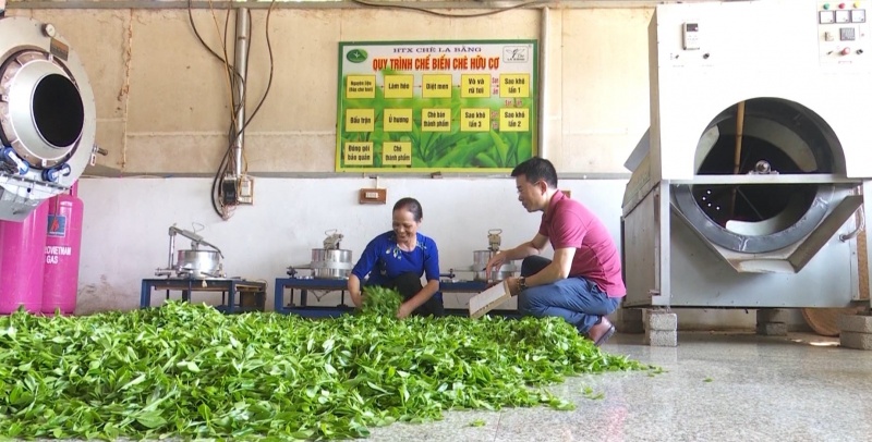 tu nghi quyet den hien thuc voi cay che la bang