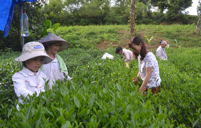 cap uy nam lang dang vien nam ho