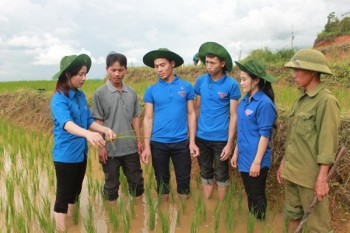 Những công trình làm theo lời Bác