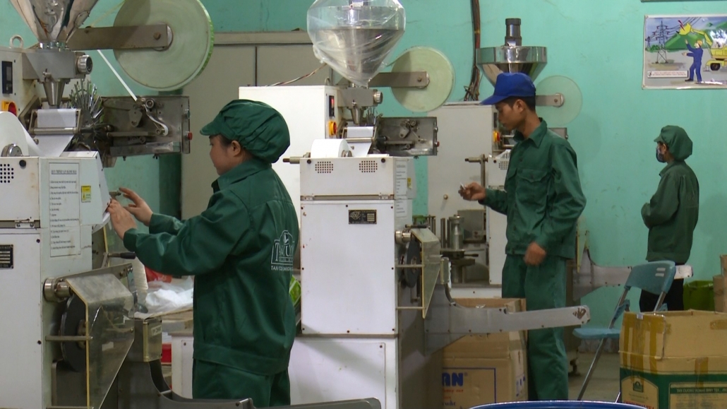 Nỗ lực tìm hướng đi mới cho thị trường xuất khẩu chè Nỗ lực tìm hướng đi mới cho thị trường xuất khẩu chè