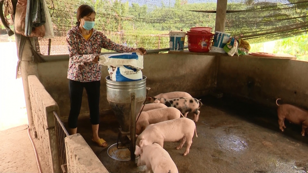 Đẩy mạnh phong trào phát triển kinh tế ở các cấp hội Phụ nữ huyện Định Hóa