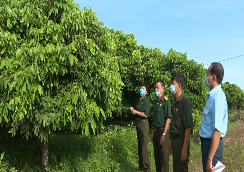 Giữ vững sản xuất trong mùa dịch Giữ vững sản xuất trong mùa dịch