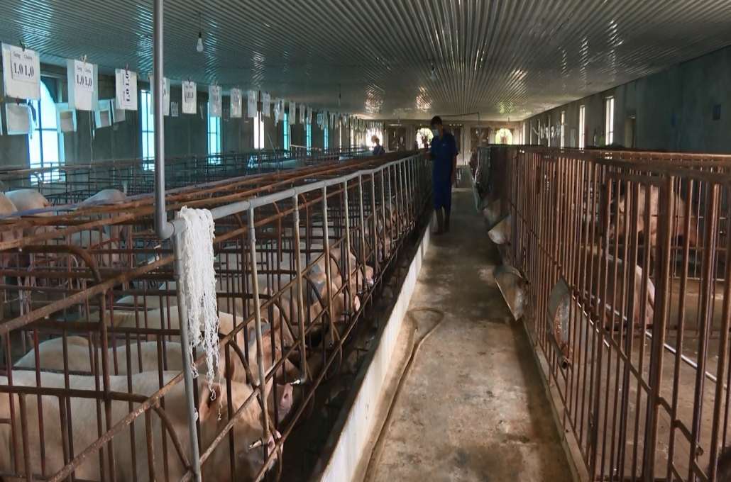 Giữ vững sản xuất trong mùa dịch Giữ vững sản xuất trong mùa dịch