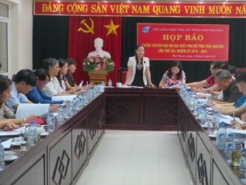 Đại hội đại biểu Hội Liên hiệp Phụ nữ tỉnh sẽ diễn ra từ ngày 07-09/11/2016