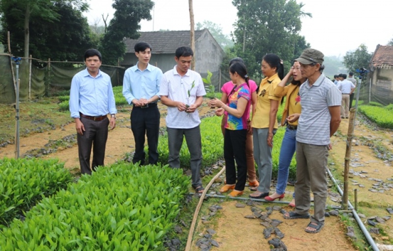 nong dan thai nguyen vung buoc tren chang duong moi