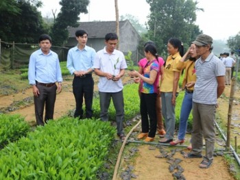 Nông dân Thái Nguyên vững bước trên chặng đường mới