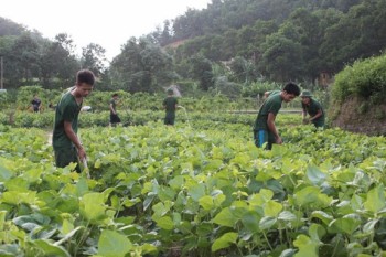 Sáng tạo, vượt khó trong bảo đảm hậu cần