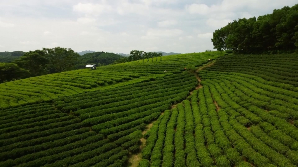 Để sản phẩm OCOP phát triển bền vững - đã psts 14.10 Để sản phẩm OCOP phát triển bền vững - đã psts 14.10