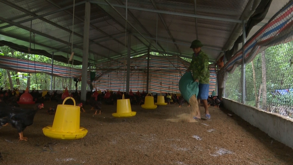 Khuyến khích phát triển chăn nuôi theo hướng an toàn sinh học - đã ps cam 26.10 Khuyến khích phát triển chăn nuôi theo hướng an toàn sinh học - đã ps cam 26.10