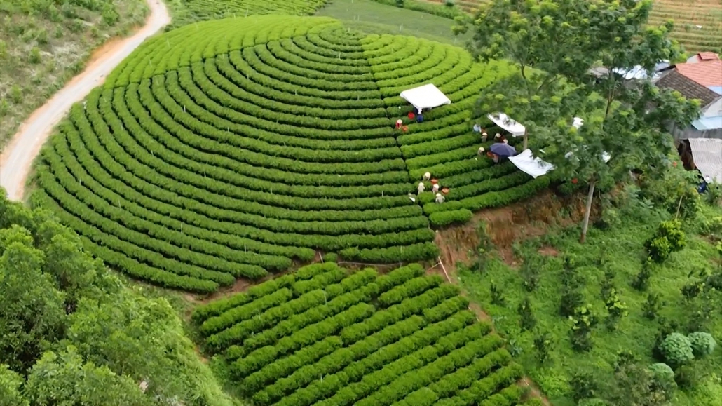 Chủ động đảm bảo tiến độ xây dựng nông thôn mới - đã ps cam 28.10 Chủ động đảm bảo tiến độ xây dựng nông thôn mới - đã ps cam 28.10