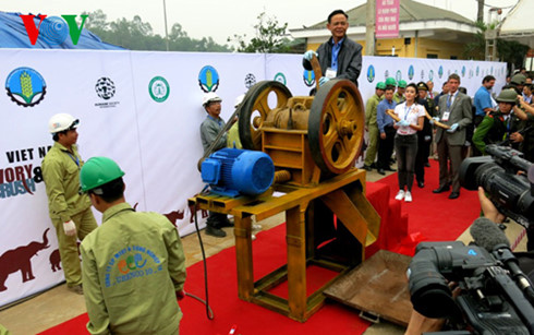 tieu huy hon 2 tan nga voi va hon 70kg sung te giac