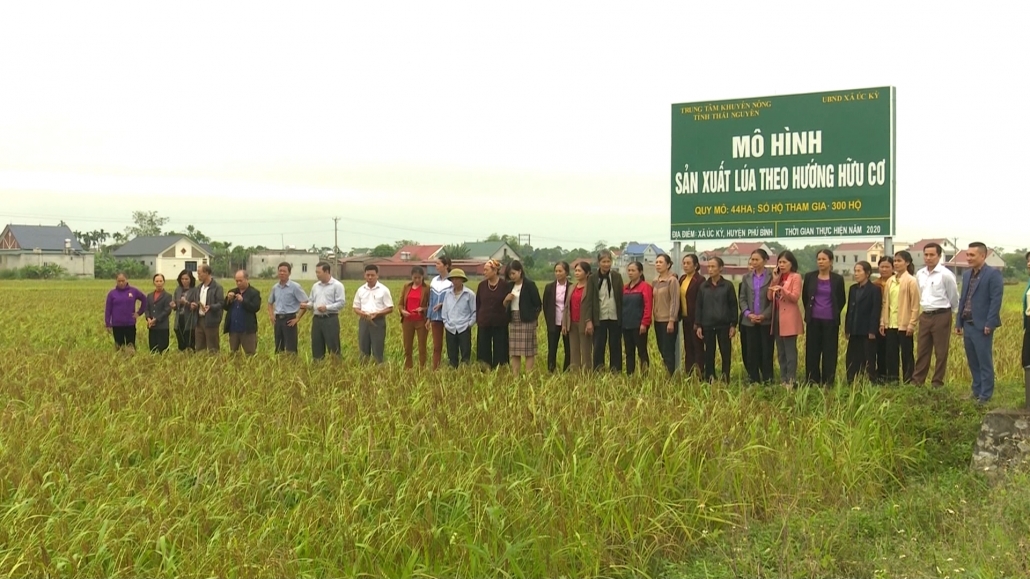 Nông nghiệp hữu cơ: Xu thế tất yếu