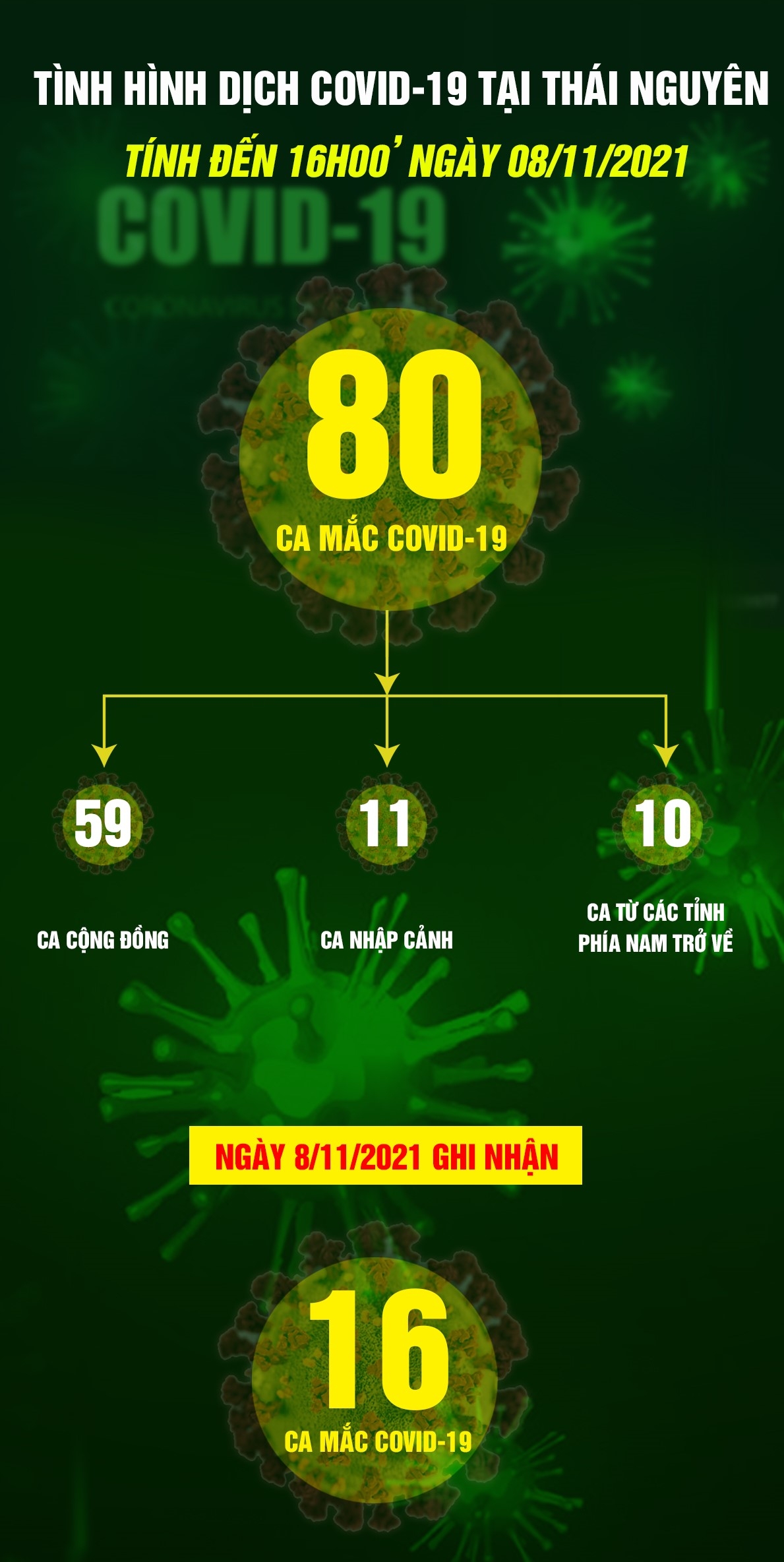 [Infographic] Tình hình dịch COVID-19 tại Thái Nguyên (tính đến ngày 8/11/2021)