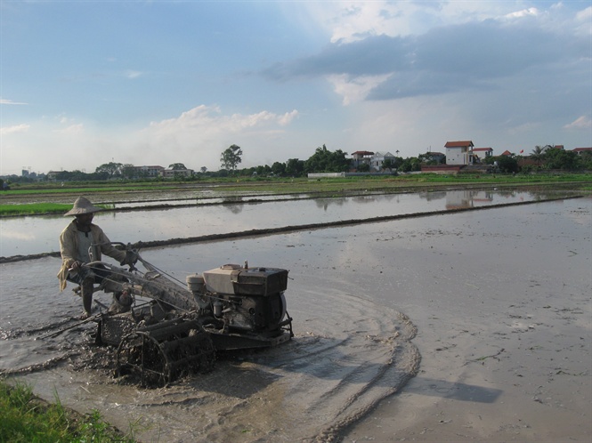 de lua xuan bac bo dat nang suat cao