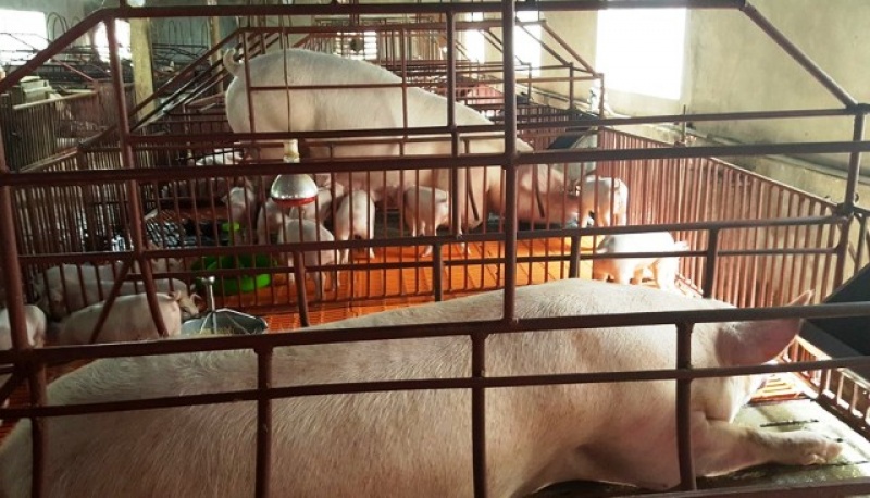 La Hiên xây dựng nông thôn mới bền vững la hien xay dung nong thon moi ben vung