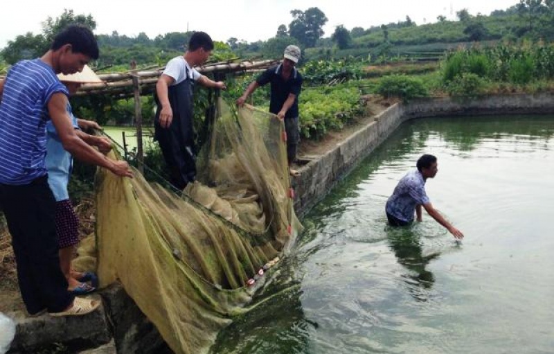 La Hiên xây dựng nông thôn mới bền vững