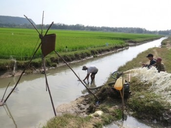 Nông dân Phú Yên xuống đồng sớm chăm sóc lúa