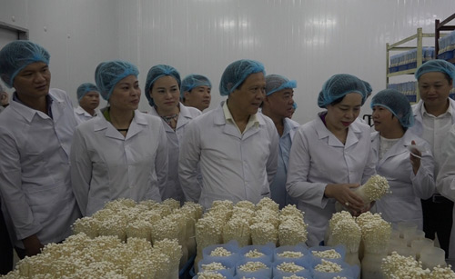 nong nghiep ha noi quyet di nhanh nhu ten lua bang cong nghe cao