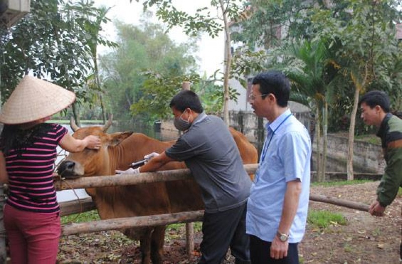 tang cuong cong tac phong chong dich benh cho dan vat nuoi