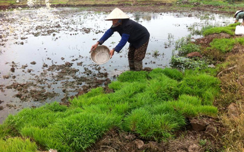 dat dai manh mun luc can dau tu dai han vao nong nghiep