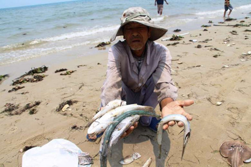 mot nam sau su co moi truong bien hoi sinh hai san tuoi ngon