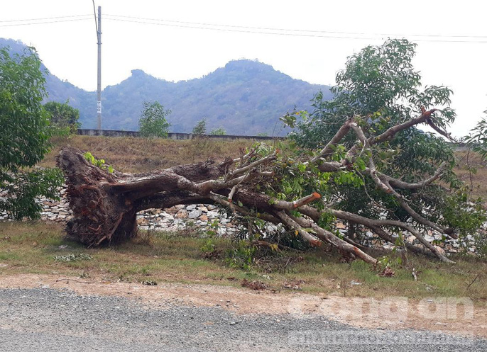 o at sat ha tram co thu bay nui o an giang dem di ban