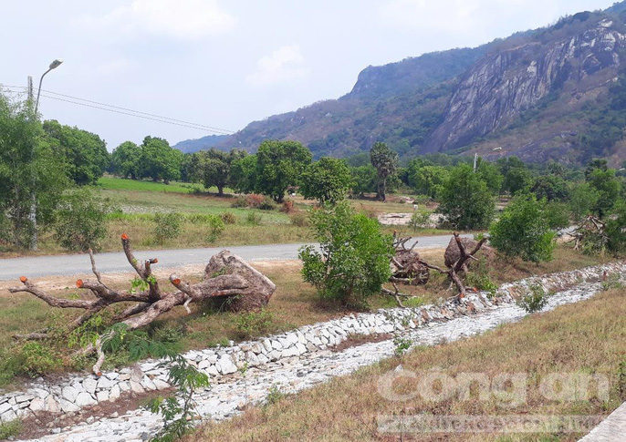 o at sat ha tram co thu bay nui o an giang dem di ban