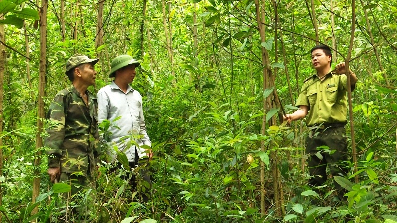 quan ly bao ve ben vung rung phong ho ho nui coc