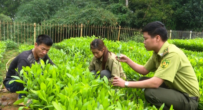 quan ly bao ve ben vung rung phong ho ho nui coc