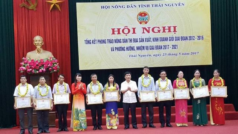 tong ket phong trao nong dan thi dua san xuat kinh doanh gioi giai doan 2012 2016