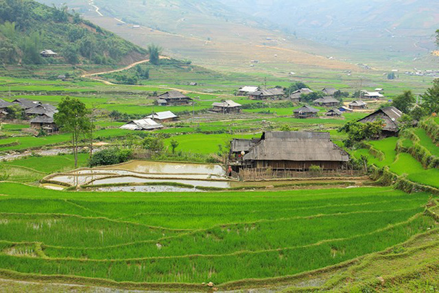 mu cang chai dep nhu tranh ve vao mua nhung con nuoc do ai