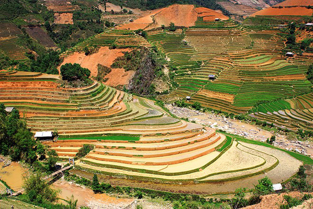 mu cang chai dep nhu tranh ve vao mua nhung con nuoc do ai