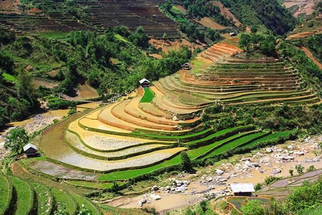 mu cang chai dep nhu tranh ve vao mua nhung con nuoc do ai