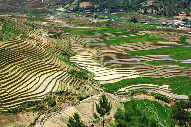 mu cang chai dep nhu tranh ve vao mua nhung con nuoc do ai