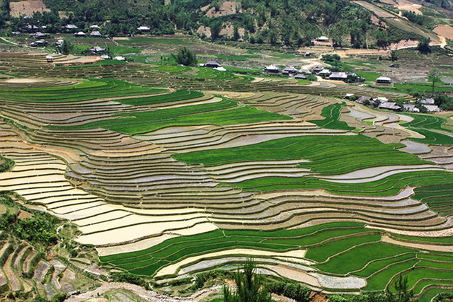 mu cang chai dep nhu tranh ve vao mua nhung con nuoc do ai