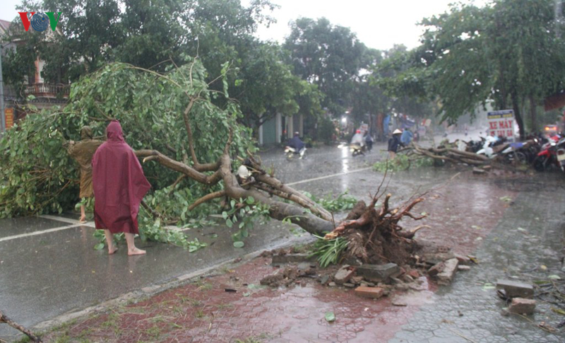 mua da loc xoay gay thiet hai nang ne tai nghe an ha tinh