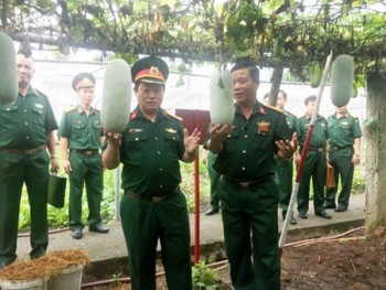 Sơ kết phong trào thi đua xây dựng và quản lý doanh trại chính quy, xanh, sạch, đẹp