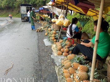 Nông nghiệp, nông dân, nông thôn Điện Biên đang chuyển mình