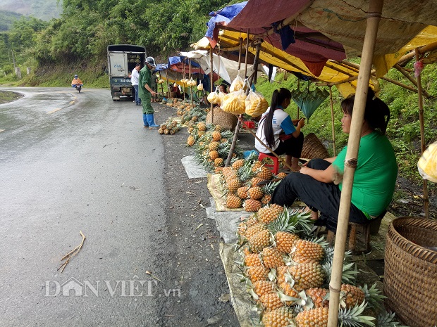 nong nghiep nong dan nong thon dien bien dang chuyen minh