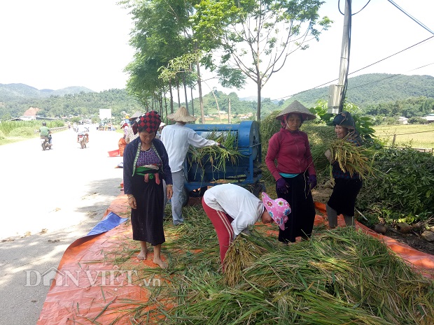 nong nghiep nong dan nong thon dien bien dang chuyen minh